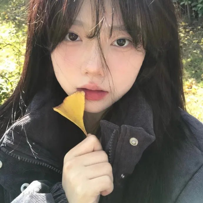 总统班底